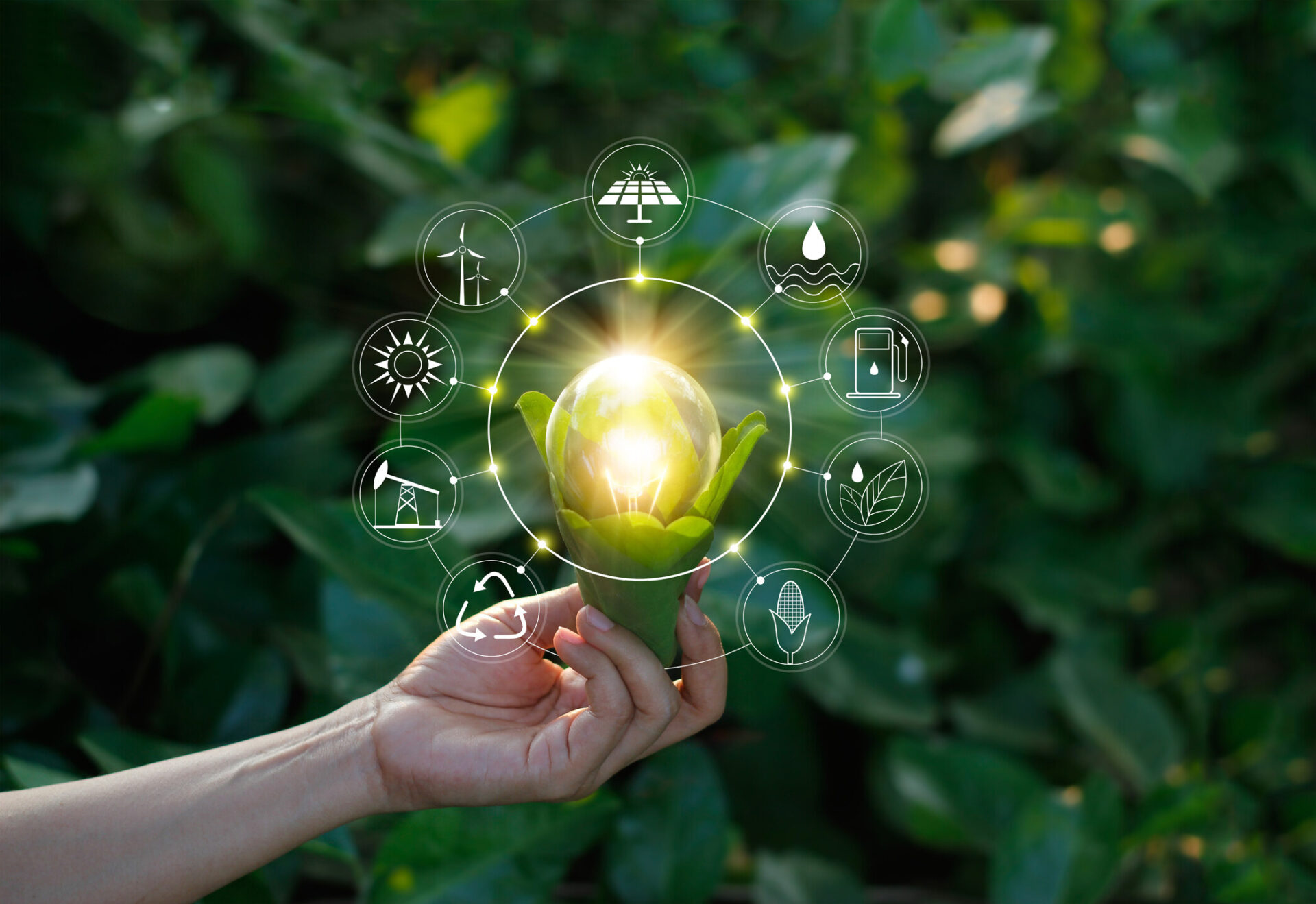 The Green Tech Revolution: Innovations Driving Sustainable Solutions